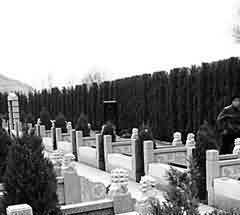 简简单单的朴素美