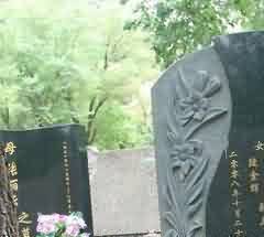 实行问责制,促使教育法实施正义