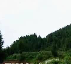 殡改难以推进的原因