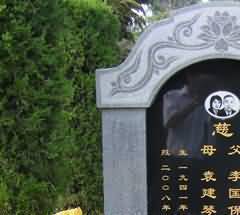 结果的“反馈”