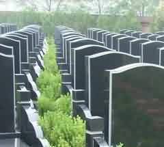 当前的教育观念