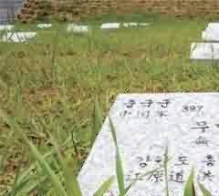 礼仪规范传统与地方仪式实践