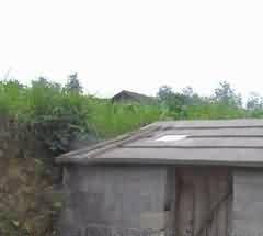 向死而生的中年危机