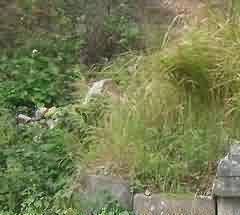 整合殡葬资源、构建殡仪全方位服务机制