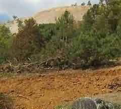 汉画像石与墓室是一个统一的整体