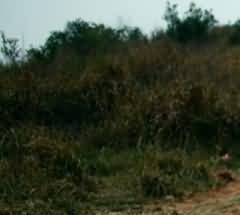 金华地区推行节地生态葬的基本情况