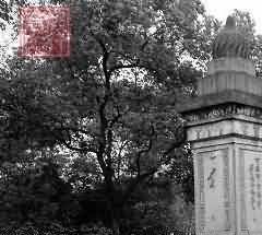 节地生态葬存在的主要问题