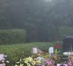 关于广西殡葬生态化改革的法律研究