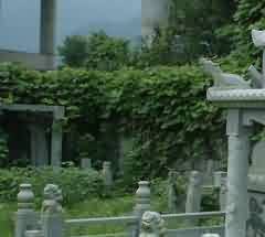 治理违法殡葬行为缺乏刚性处罚措施