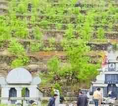 申请人民法院强制执行面临诸多难题