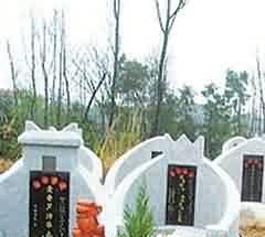 新时期我国殡葬事业单位财务管理存在着哪些问题