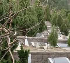 农村土葬或二次土葬的现状及影响