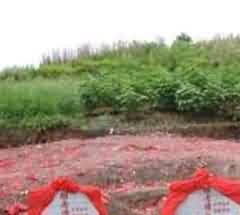 农村墓地供给不足是耕地上修建坟墓的根源