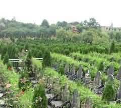 殡葬环境卫生的特点