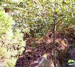 殡葬管理执法应注意的几个问题