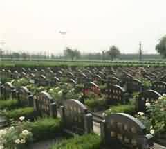 促使祭祀祭祖民俗与新型城镇化建设的有机结合