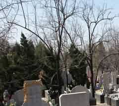 基督教信仰对新马华人传统丧葬文化冲击最大