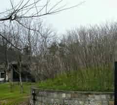 重视祭送死者亡灵回归祖先故地