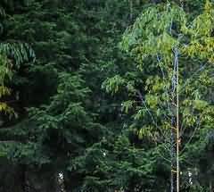 丧俗对历史文化的遗存贡献