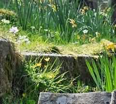 送终所体现的家庭观念