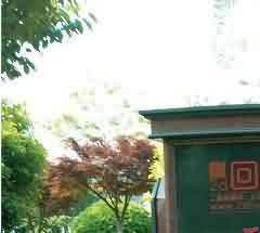 纳西族的丧葬风俗