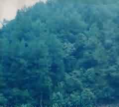 中国丧葬公益源流