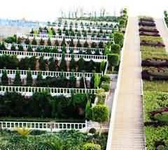 “夫妇有别”与汉代合葬习俗