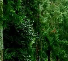 皈依瓶堆塑与神煞俑的比较