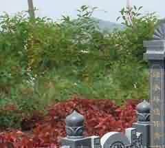 汉墓壁画是北朝墓壁画的主要源泉