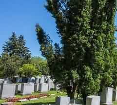 影响了立法者的思想