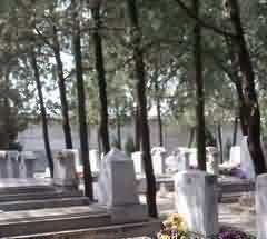 对当代纳西族东巴教信仰的建议