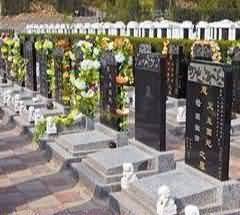 建构汉墓文化校本课程的现实意义