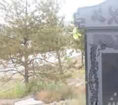 推进殡葬产业化的思路