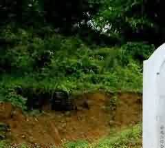 耕地上坟墓散布影响农业现代化和机械化进程