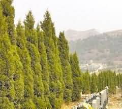 农村传统丧葬礼仪的特点