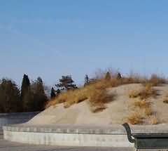 185.jpg