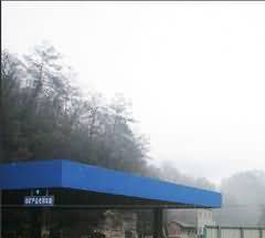 186.jpg