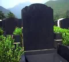 361.jpg