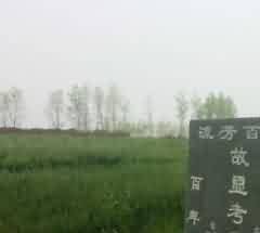 325.jpg