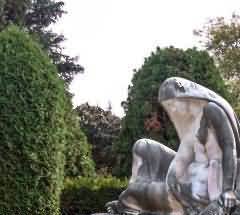 46.jpg