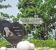 109.jpg
