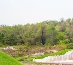 326.jpg