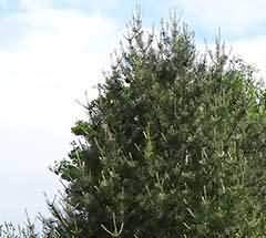 167.jpg