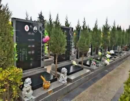 对殡葬市场监管不力