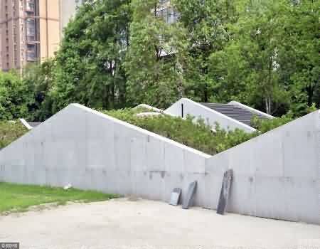 384.jpg