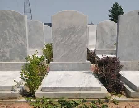 160.jpg