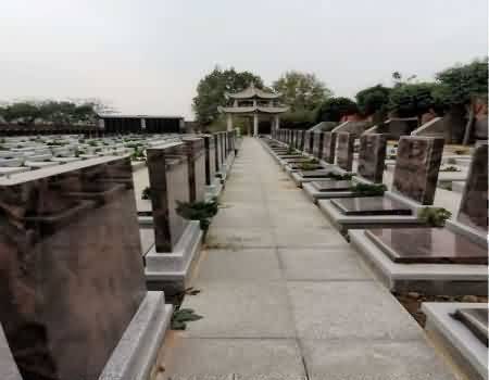 372.jpg