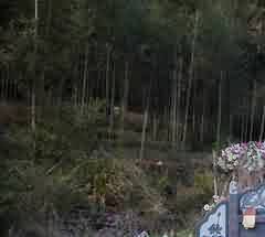 因坟山风水引发的刑事案件