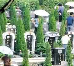 非法占用集体土地建设公墓的原因