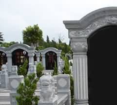 丧伕的产生机制